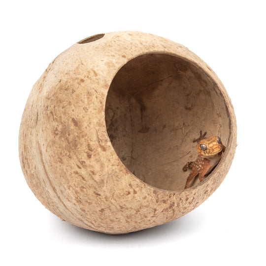 AquaGlobe Coconut Whole