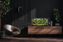 Load image into Gallery viewer, [ID:MVBZQM]
