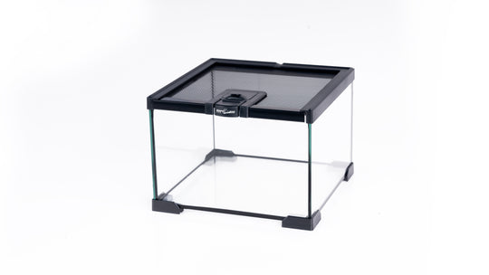 ReptiZoo Mini Glass Reptile Terrarium