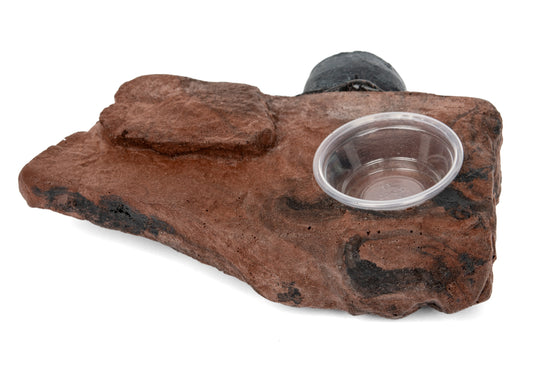 MagNaturals Mini Gecko Ledge - Single Cup (0.5 oz.)