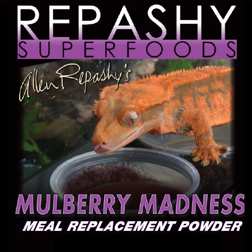 Repashy Gecko Diet Mulberry Madness