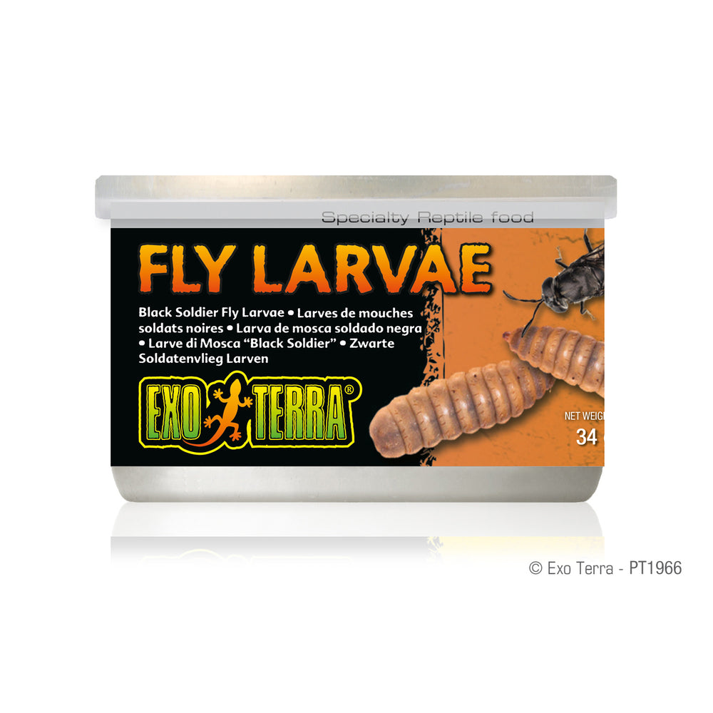 Exo Terra Canned Black Solider Fly Larvae, 34g