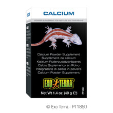 Load image into Gallery viewer, Exo Terra Calcium Powder Supplement

