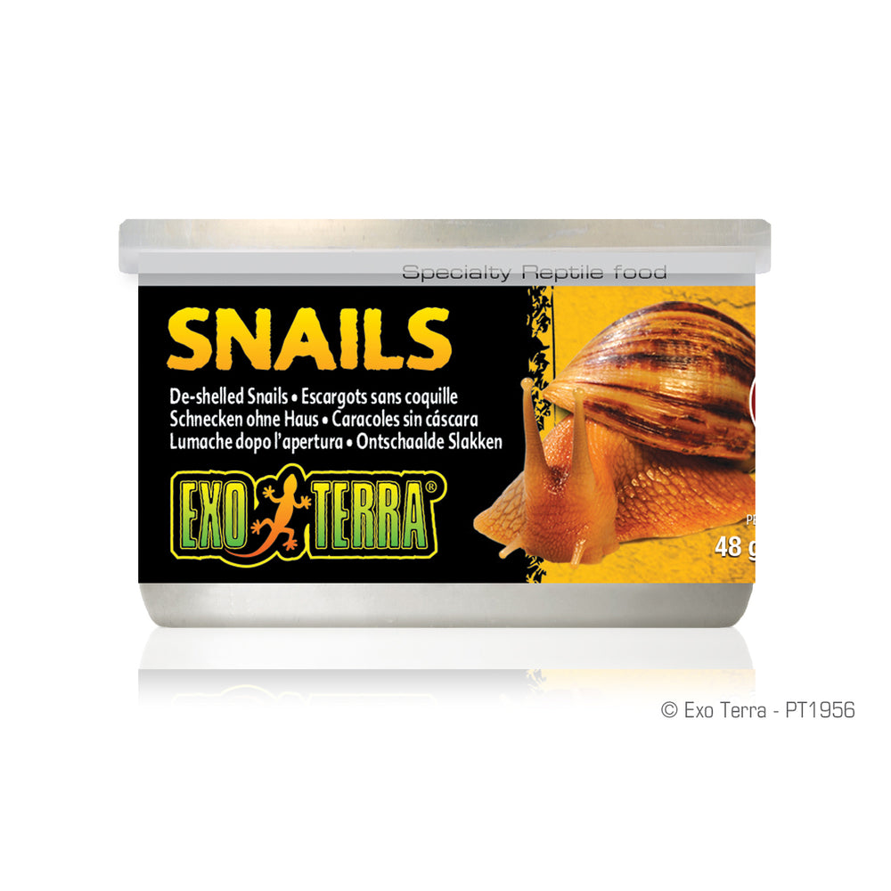 Exo Terra Canned Snails (House free) - 48 g (1.7 oz)