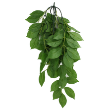 Load image into Gallery viewer, Komodo Climbing Plant Green Leaf
