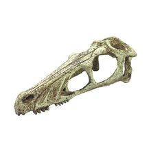 Load image into Gallery viewer, Komodo Raptor Skull

