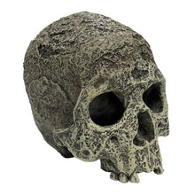 Load image into Gallery viewer, Komodo Human Skull Textured
