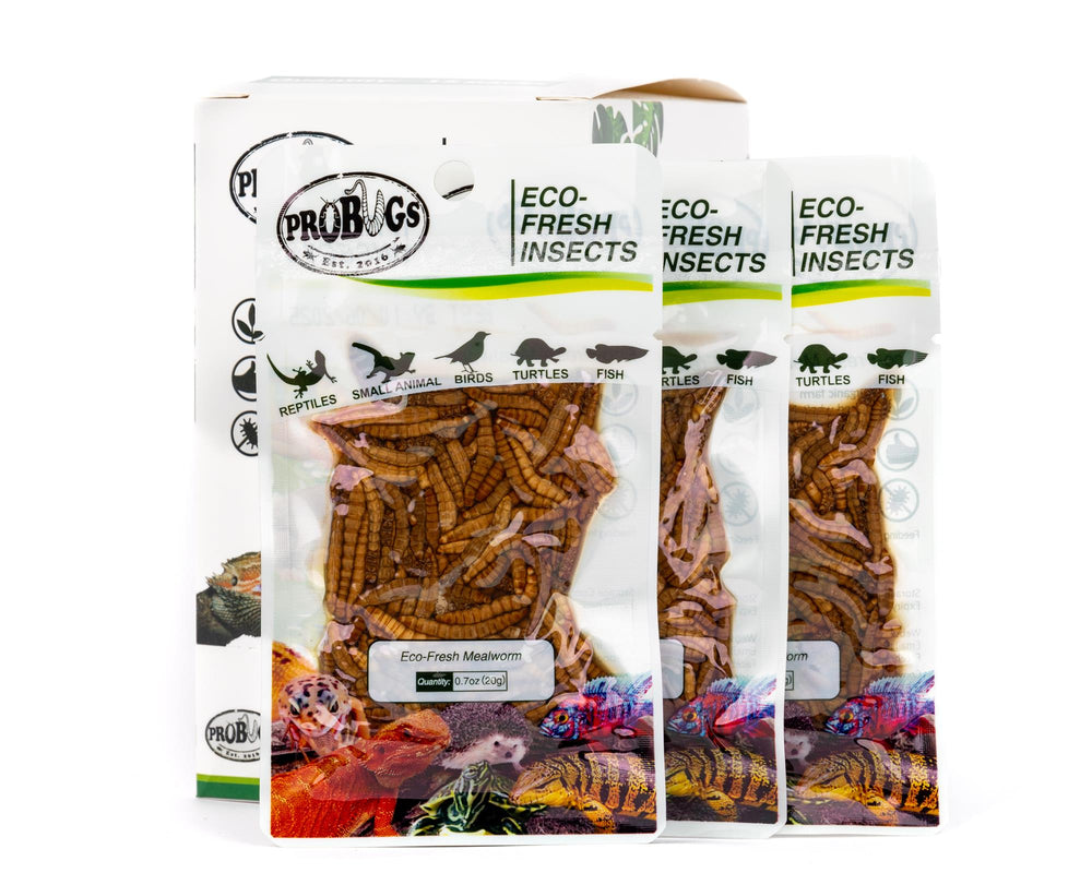ProBugs Eco-Fresh Mealworms