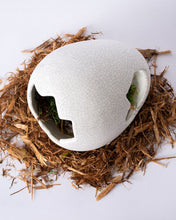Load image into Gallery viewer, Galapagos Ceramic Egg Hide, Medium
