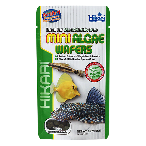 Hikari Mini Algae Wafers Mini