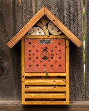 Load image into Gallery viewer, Galapagos Lady Bug House
