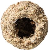 Load image into Gallery viewer, Galapagos Mossy Cave 6&quot;, Diameter for Hiding and Humidity
