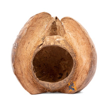 Load image into Gallery viewer, AquaGlobe Coconut Lotus Hide
