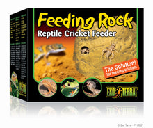 Load image into Gallery viewer, Exo Terra Feeding Rock \ Reptile Cricket Feeder
