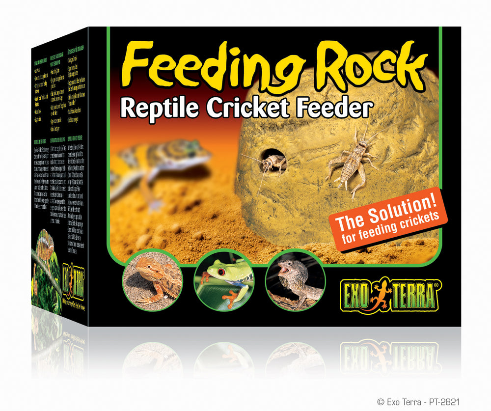 Exo Terra Feeding Rock \ Reptile Cricket Feeder