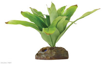 Load image into Gallery viewer, Exo Terra Dart Frog Bromelia **Discontinued**
