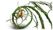 Load image into Gallery viewer, Pangea Ultimate Reptile Vine, 6ft Long
