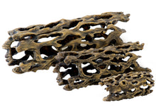 Load image into Gallery viewer, Exo Terra Cholla Cactus Skeleton
