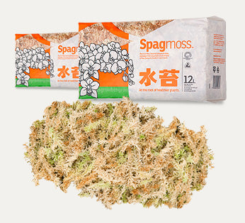 Besgrow SpagMoss Premium Sphagnum Moss