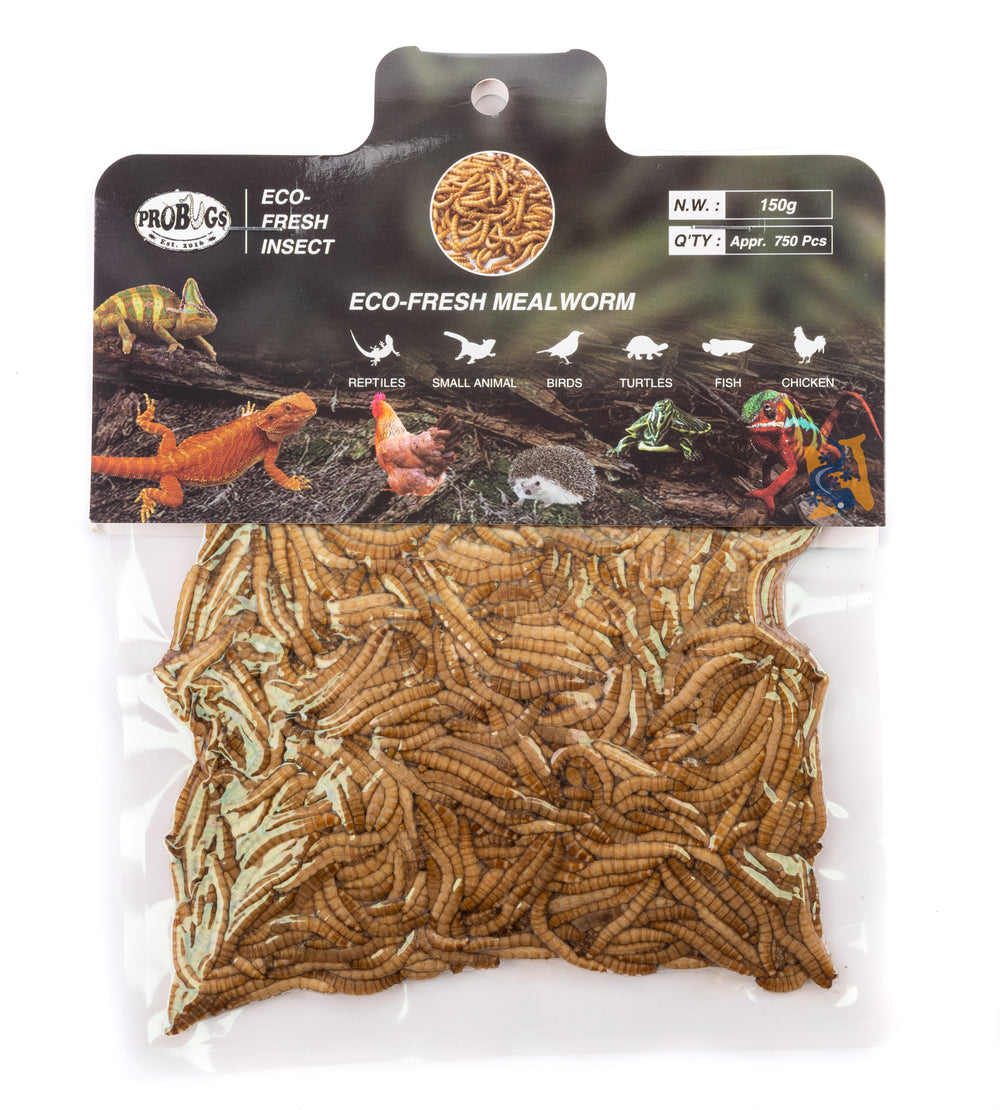 ProBugs Eco-Fresh Bulk Mealworms, 150g