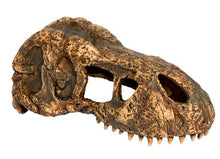 Load image into Gallery viewer, Exo Terra T-Rex Skull Hide
